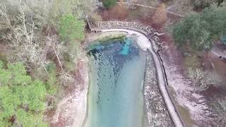 Little River Springs - Branford, FL - by Phantom 3 Adv