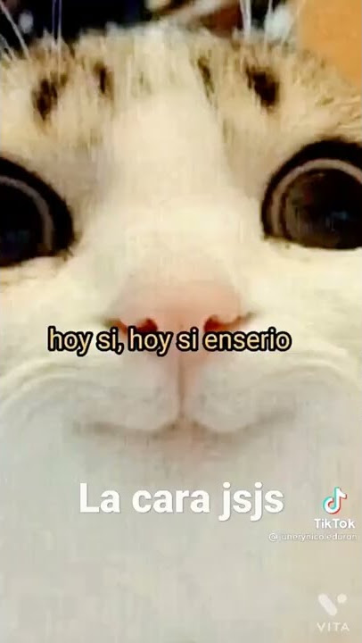 querido hermano/ meme 😎😎