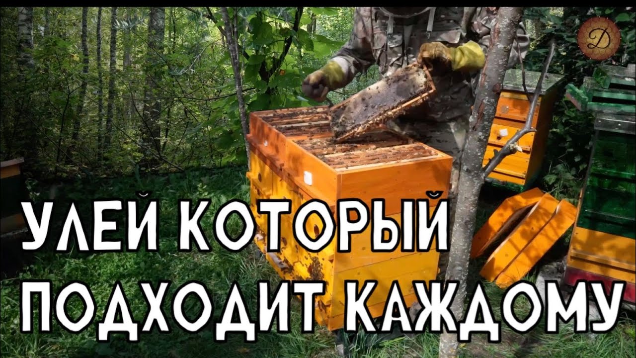 УЛЕЙ КОТОРЫЙ ПОДХОДИТ КАЖДОМУ