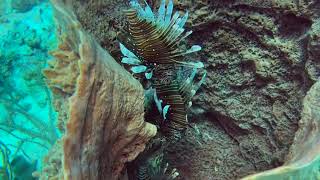 South Water Caye Belize 2026   SD 480p