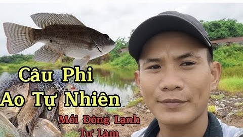 Câu Rô Phi Ao Bỏ Hoang #caucarophi #fishing #caucachep #fish #caucavatrainghiem