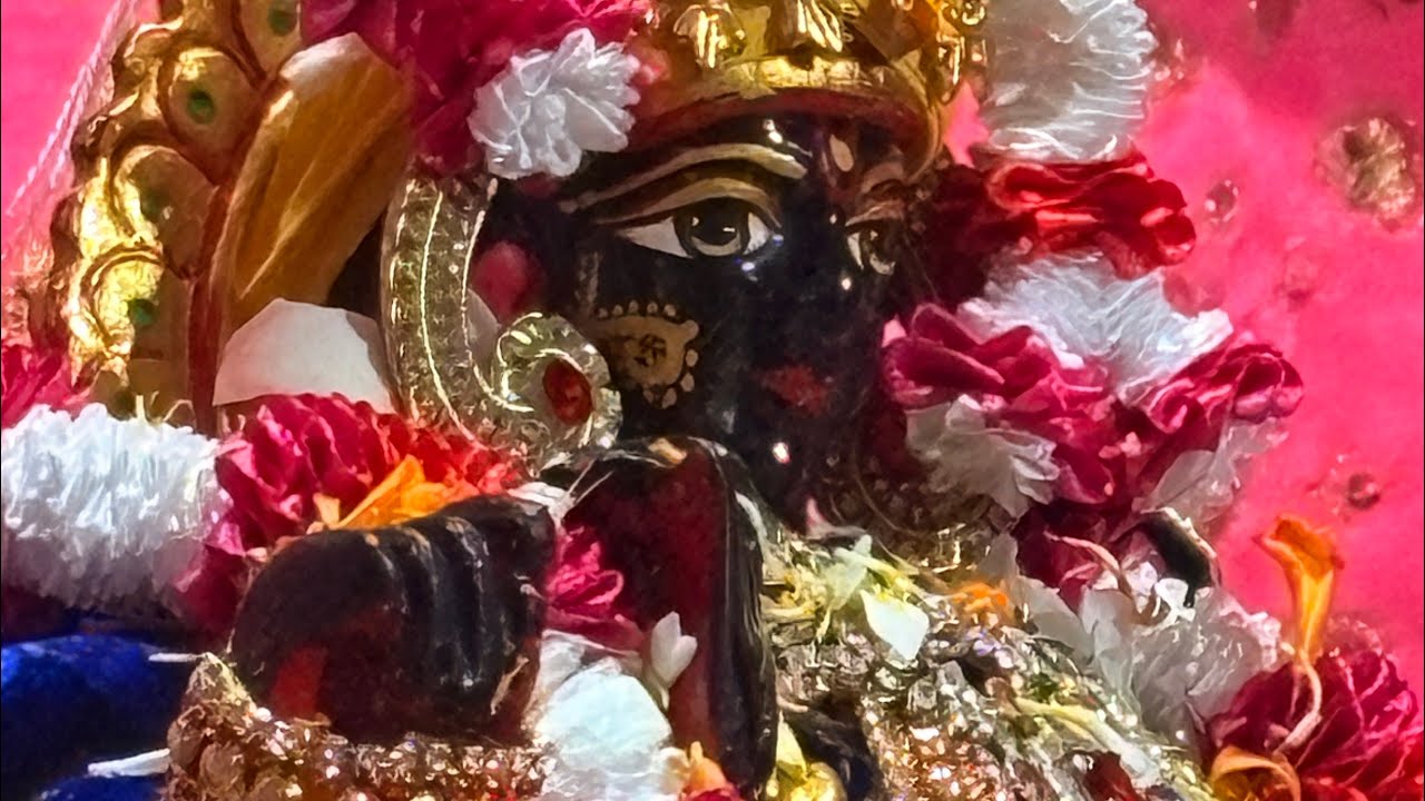 ||श्रीराधा प्राणवल्लभ लाल जू को प्रथम पाटोत्सव महामहोत्सव, श्रीहित वन विहार कुंज, श्रीधाम वृंदावन ||