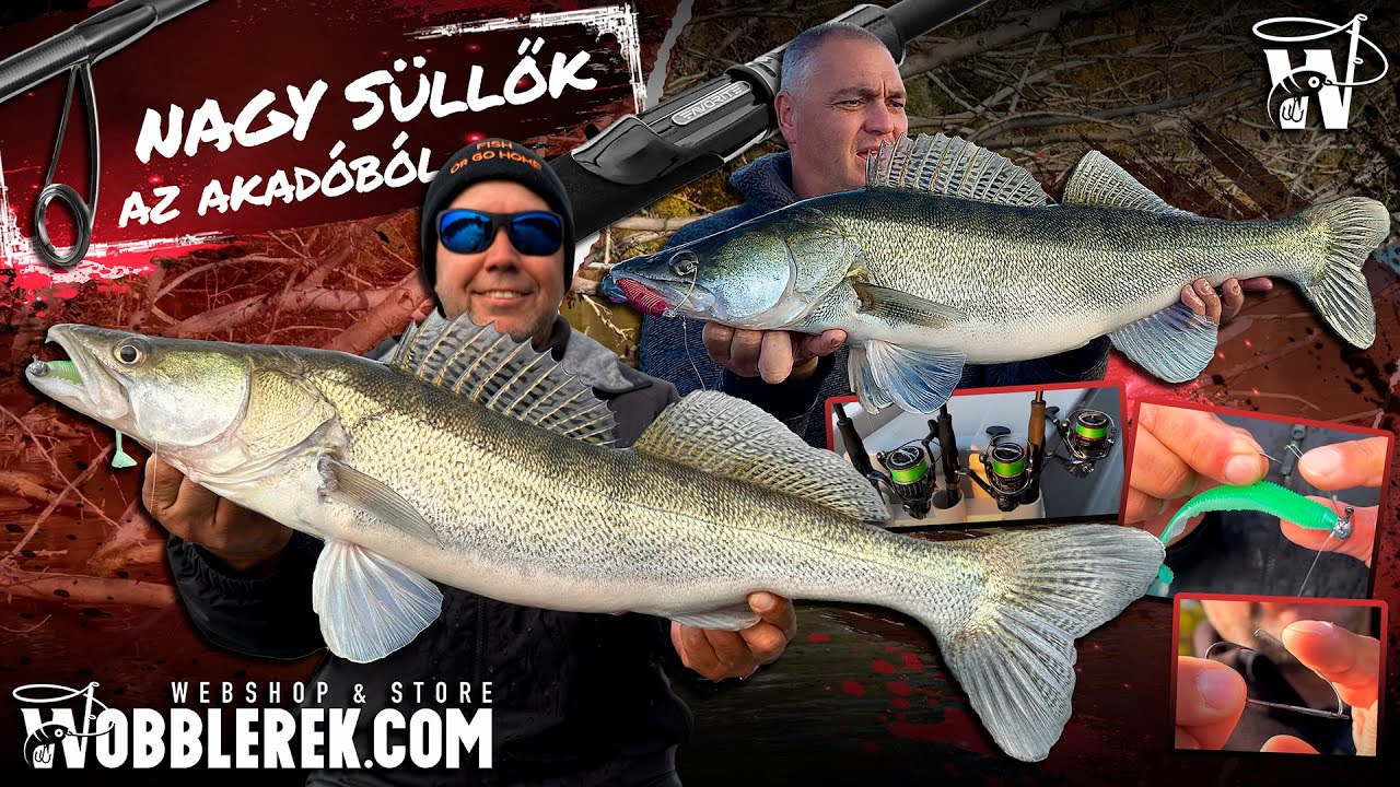 Akadóban hogyan pergessünk süllőre a Tiszán?  Varga Pál - Takács Péter