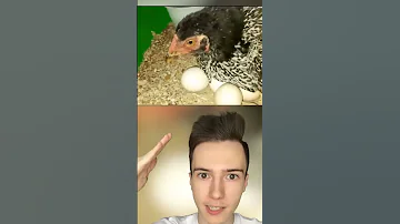 Этот ученый скрестил днк акулы и червяка #Shorts