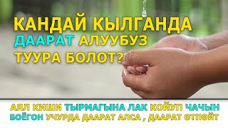 КАНДАЙ КЫЛГАНДА ДААРАТ АЛУУБУЗ ТУУРА БОЛОТ?