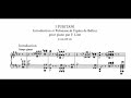 Liszt - Introduction et Polonaise de l'opéra "I puritani", S.391 (Han Chen)