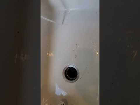 Allia fireclay sink