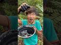 Survival Skills: Simple but Useful in jungle #bushcraft #camping #outdoors #useful #shorts #survival