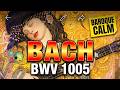 Bach 1005 Classical Guitar | Artistic Masterpieces in Motion