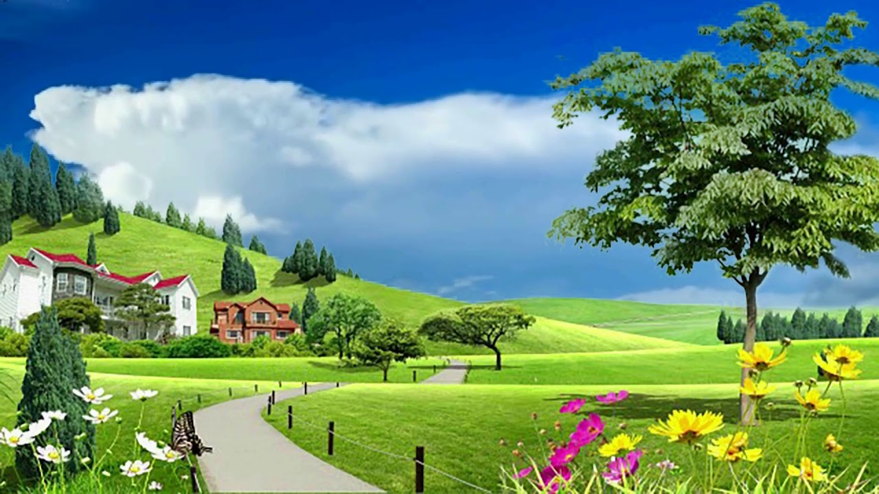 Beautiful Nature Flower Background, Nature Flower Garden Video #BSmotion -  YouTube