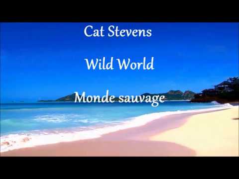 Cat Stevens Wild World Traduction Youtube 3:07 catleon peiffer 221 197 prosmotrov. cat stevens wild world traduction