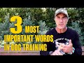 The 3 most important words in dog training