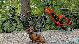 Mini dachshund explores the city on e-bikes #Addmotor