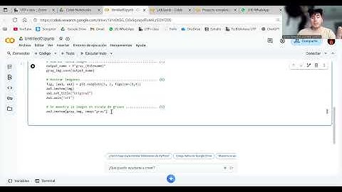 CONVERTIR IMAGENES A COLORES A ESCALA DE GRISES EN PYTHON-PASO 9