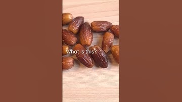 What is this? #macro #video #riddle #video #shorts