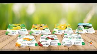 Sữa chua Elovi - Sản phẩm nổi bật trên thị trường