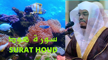 سورة هود ياسر الدوسري