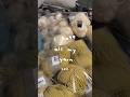 I HATE ALL MY YARN ep 122: DID I GET MORE YARN??? #yarnspirations #yarnaholic Tiffany Weng