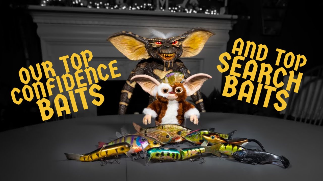 Our TOP Confidence Baits & TOP Search Baits