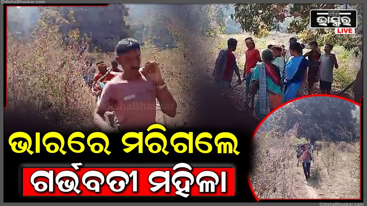 ପୁଣି ଭାରରେ ବୁହାହେଲେ ଗର୍ଭବତୀ ମହିଳା I ଭାରରେ ବୋହି ନିଆଗଲା ମେଡିକାଲ ହେଲେ...