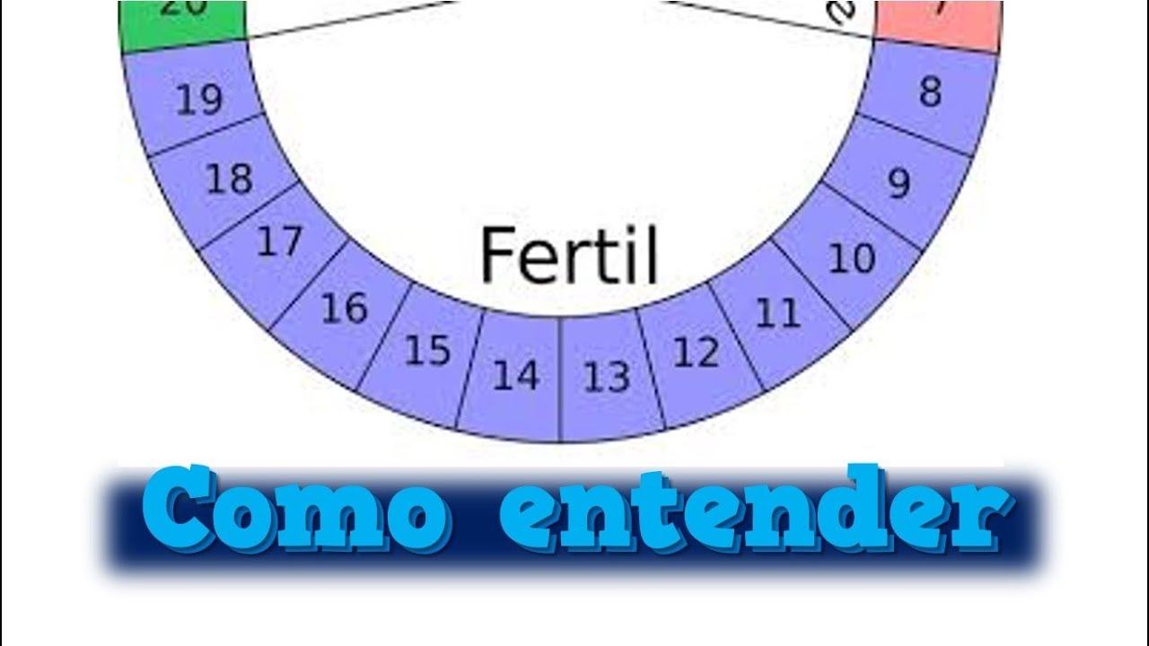 Quando começa o período fértil? como entender ? - YouTube