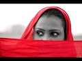 عبد الكريم الكابلى تانى ريده كمان جديده شذى زاهر