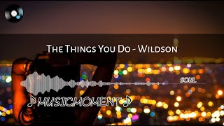 Video thumbnail of "The Things You Do - Wildson(Lyrics)"