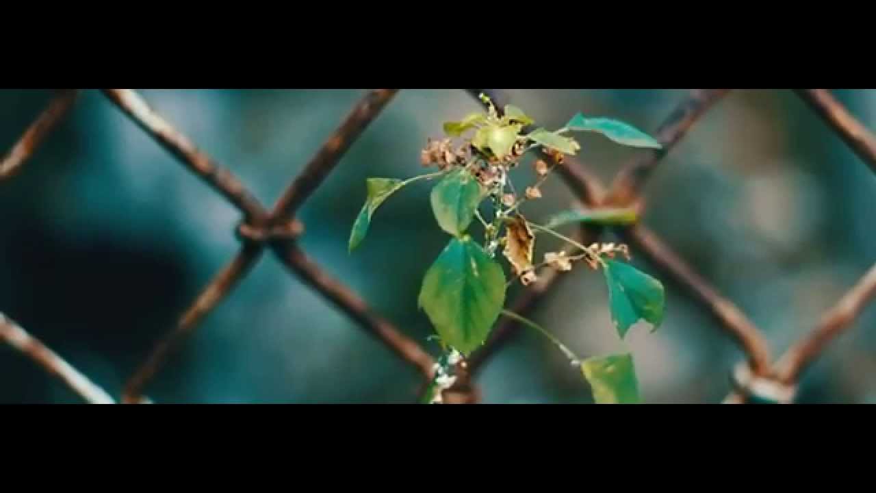 Cinematic: "Spring Flowers" - Canon EOS 700D | HD (Novell CINEMA)