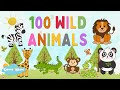 Wild animals  learn wild animals names in english  kids vocabulary  english educational