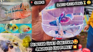Fish Market | Ankurhati Fish Market Kolkata | Cheap Price | Recent Aquarium Fish Price Update 2024 by Curious Calcutta 1,538 views 3 months ago 20 minutes