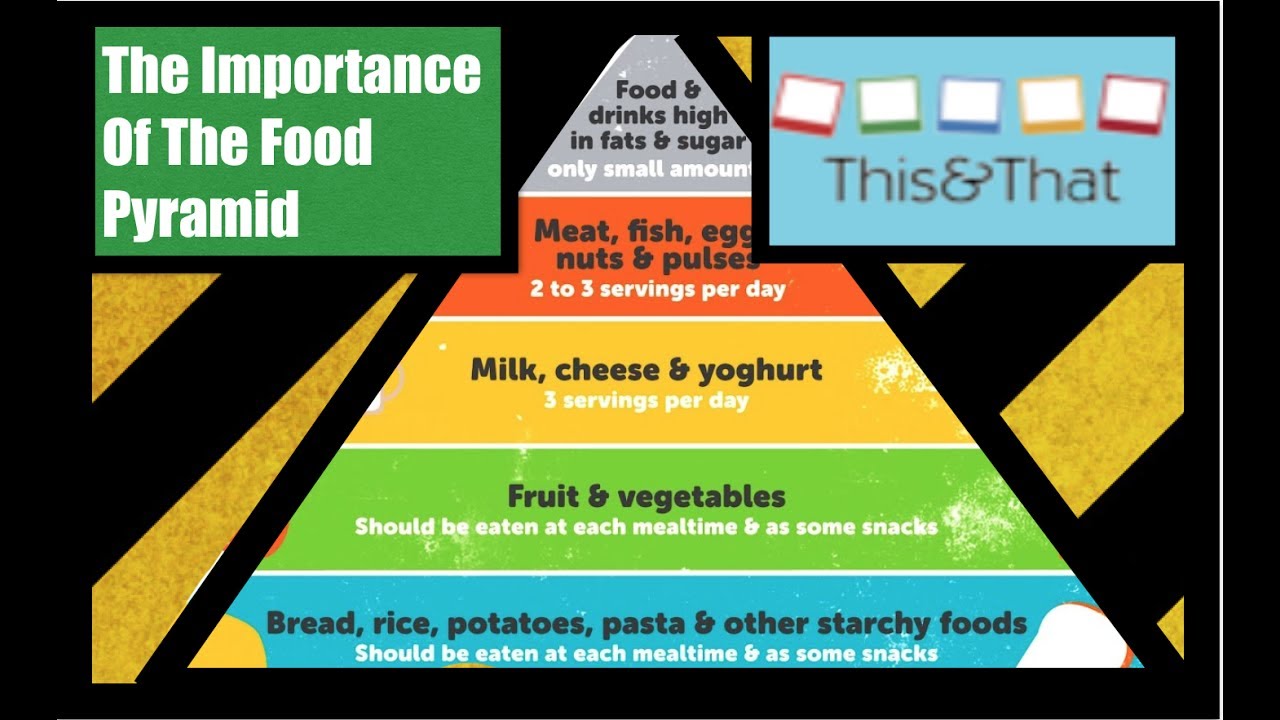 the importance of the food pyramid In 2005 the us department of agriculture (usda) released a food pyramid called mypyramid the figure on the stairs is there to remind you of the importance of. the importance of the food pyramid In 2005 the us department of agriculture (usda) released a food pyramid called mypyramid the figure on the stairs is there to remind you of the importance of.