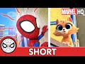 S.O.S. Kitty! | Marvel's Spidey and His Amazing Friends | @Disney Junior @Marvel HQ