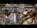 Kyoto Festival: Plum Blossom Festival at Kitano Tenmangū (Baikasai)