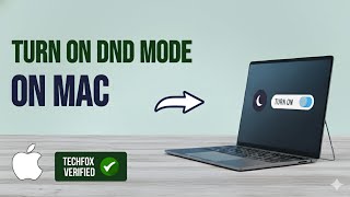 How to Turn On or Off Do Not Disturb Mode on Mac Easily?