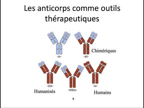 Vidéo: Anticorps Comme Candidats Biomarqueurs Pour La Réponse Et La Survie Aux Inhibiteurs Des Points De Contrôle Chez Les Patients Atteints De Mélanome