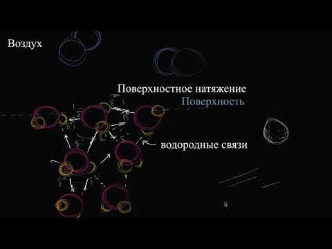 Поверхностное натяжение (видео 3) | Силы межмолекулярного взаимодействия | Химия