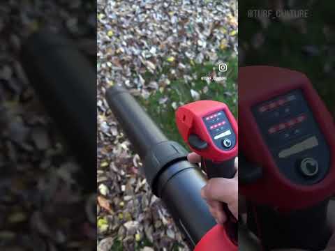 Fall Leaf Cleanup