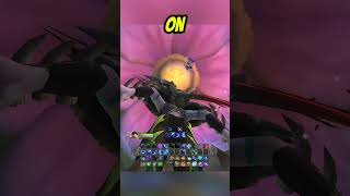 Midnight - Hidden Moth Mounts