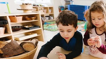 Welcome to BrightPath!