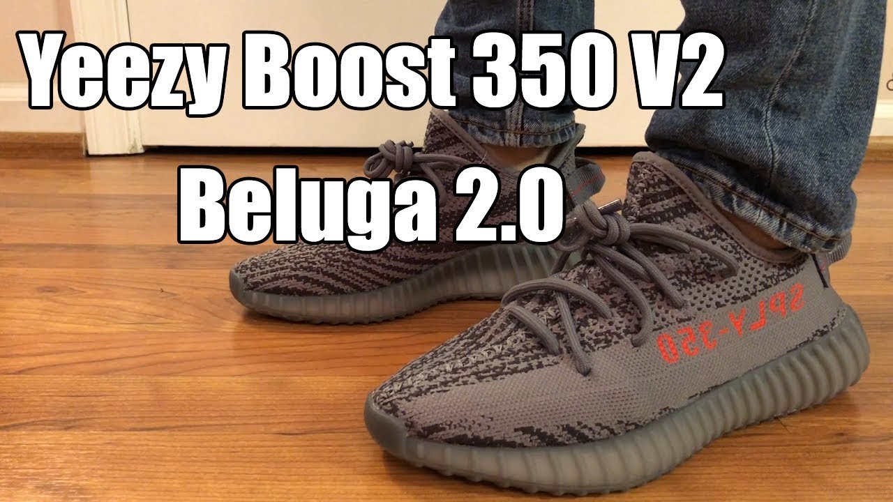 Adidas Yeezy Boost 350 V2 Beluga 2.0 Review + On Feet - YouTube