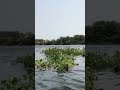 Take a cool ride on the lake to relax #relaxing #water #cool