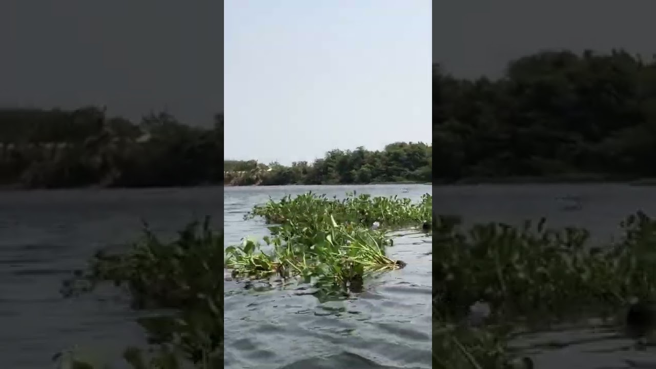 Take a cool ride on the lake to relax 