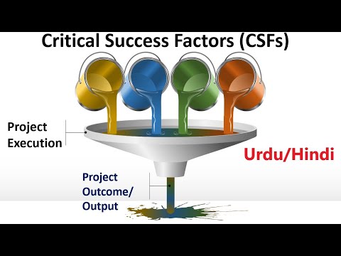 Critical Success Factors(CSF)