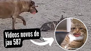 Download Lagu Vídeos novos de jau ferreira 587 MP3