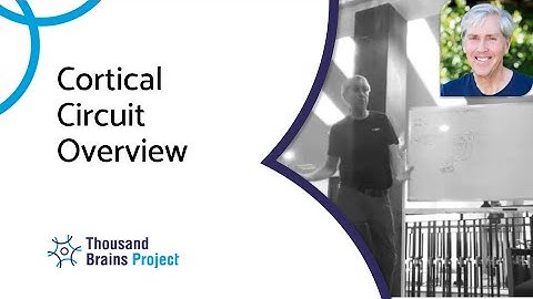 2025/02 - Cortical Circuit Overview