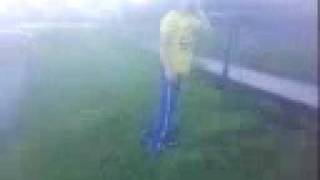 MOV017.3gp