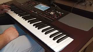 Dostlar Sağolsun - Korg Pa1000