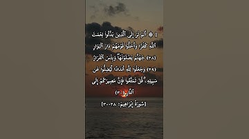 ارح نفسك وقلبك قليلاً 😌 الآية من سورة إبراهيم بصوت الشيخ ياسر الدوسري #القرآن_الكريم #اكسبلور