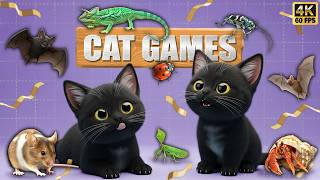 CAT GAMES 🐾3D Game for Cats | Video for Cats – Ultimate CAT TV #177😻 4K60FPS screenshot 5