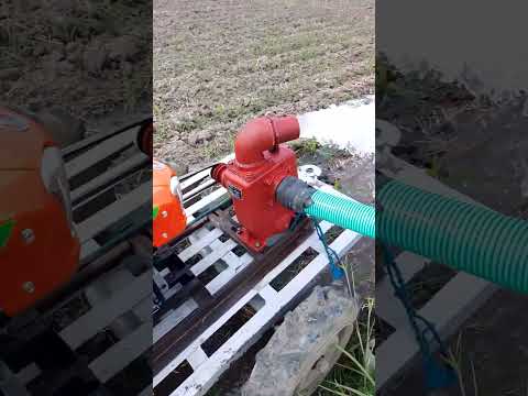 Water Pump NITTOO NS 80m